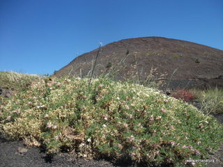 Monte_Nero - 16-06-2013 10-10-03.JPG